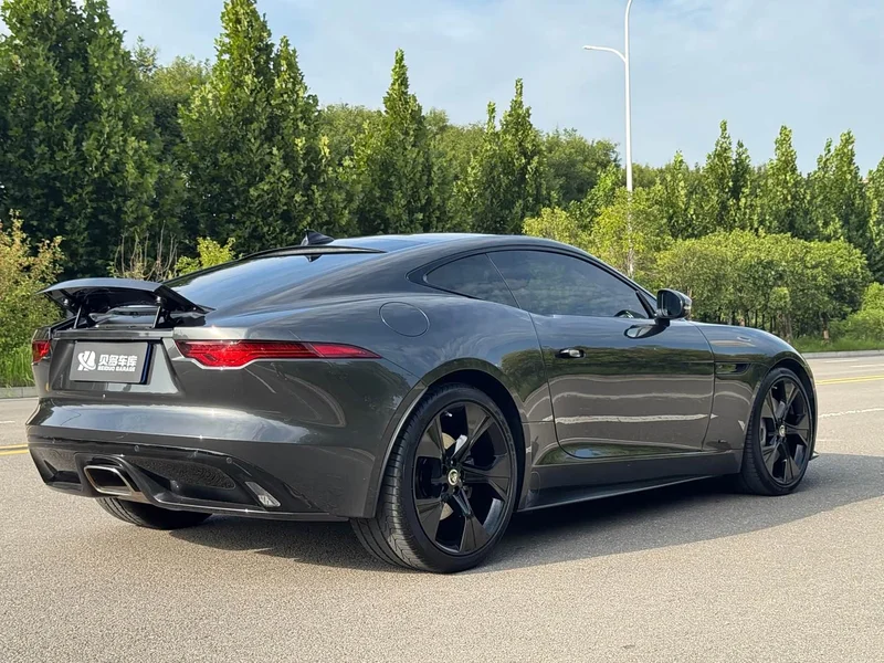 Jaguar F-TYPE — фото 9