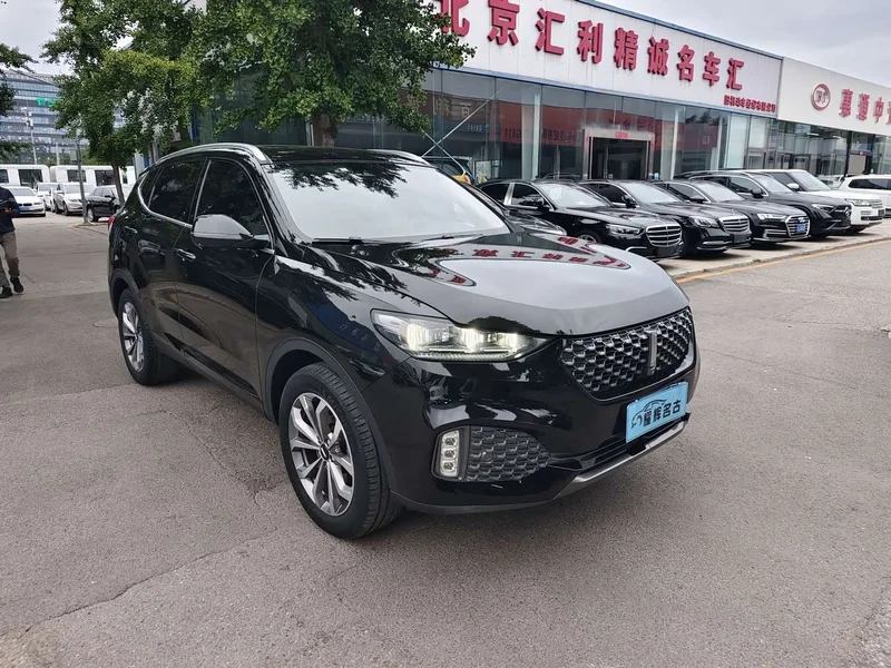 Wey VV6