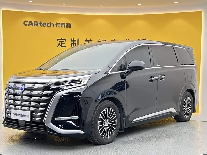 Denza D9