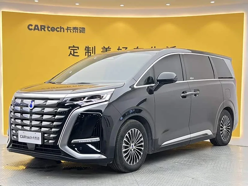 Denza D9