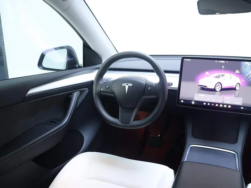 Tesla Model Y — фото 14