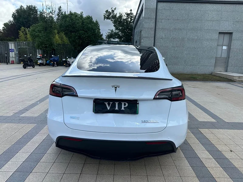 Tesla Model Y — фото 12