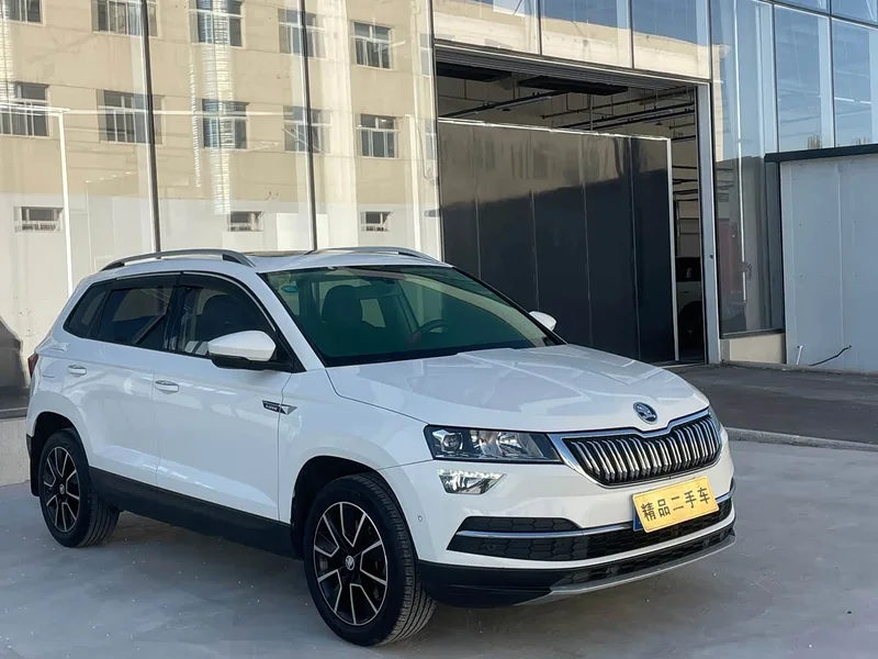 Skoda Karoq — фото 3