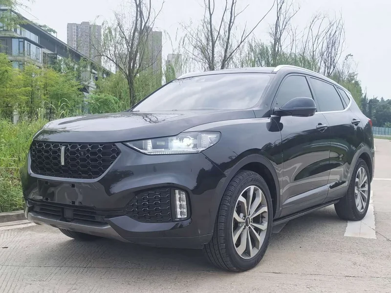 Wey VV6
