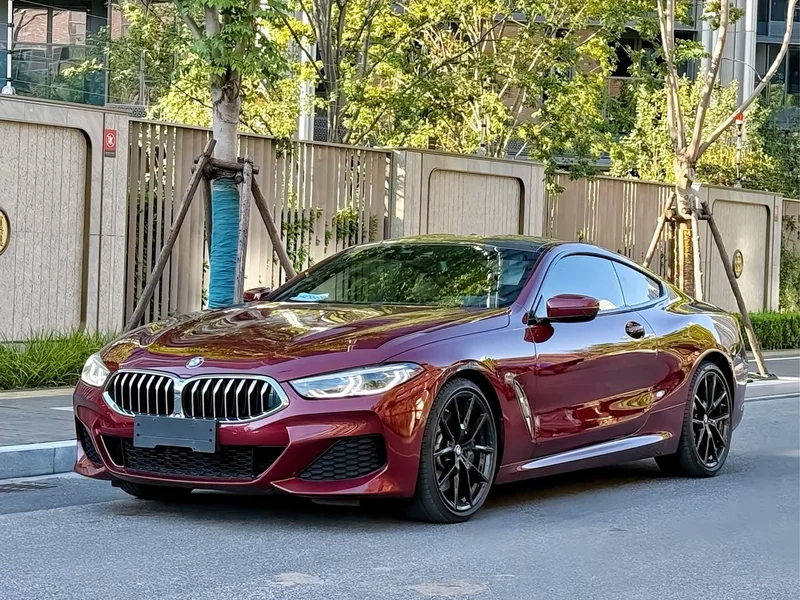 BMW 8-Series — фото 1