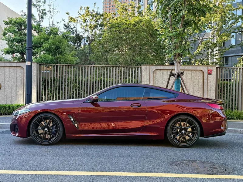 BMW 8-Series — фото 3