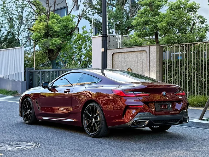 BMW 8-Series — фото 4