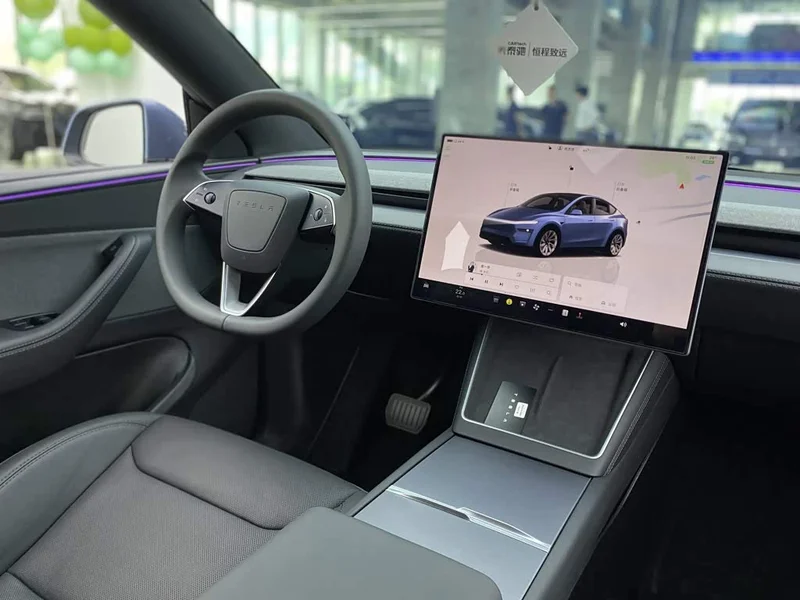 Tesla Model Y — фото 31