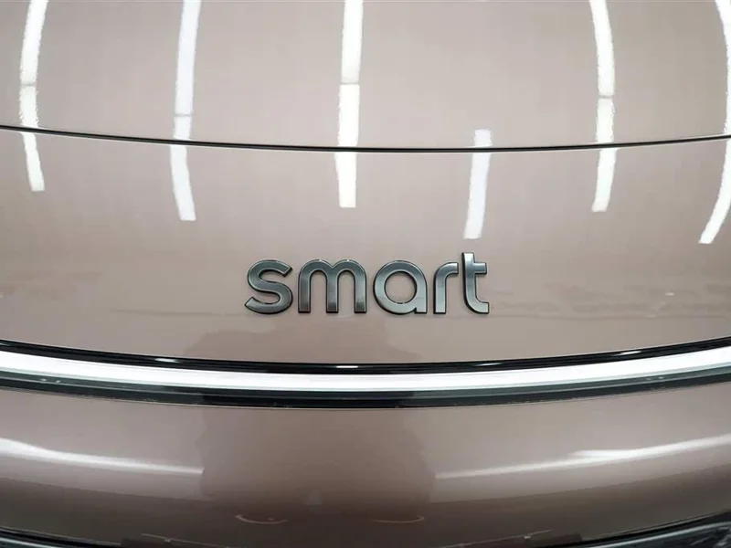 Smart Smart #1 — фото 13