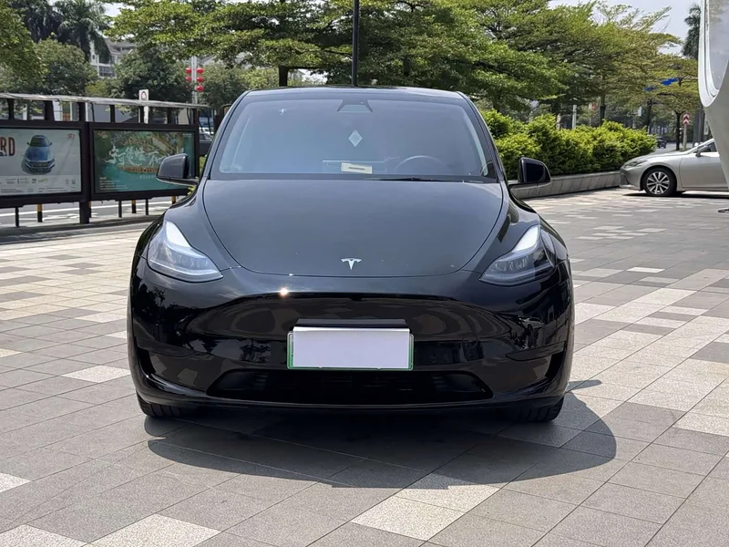 Tesla Model Y — фото 2