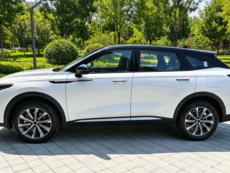 Changan Yaoguang C-DM — фото 8