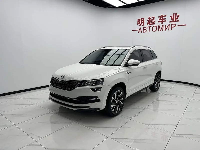 Skoda Karoq — фото 4