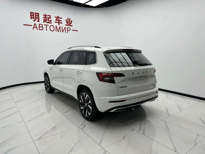 Skoda Karoq — фото 8