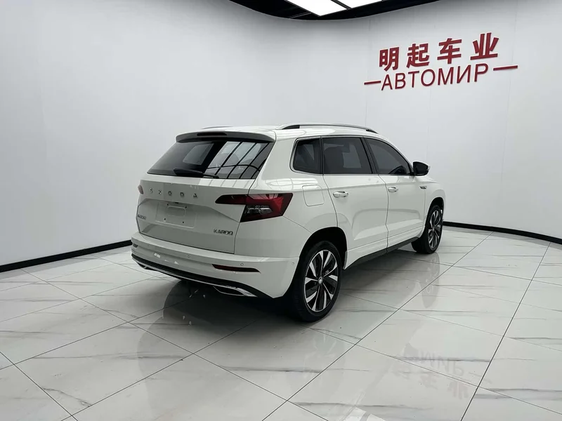 Skoda Karoq — фото 9