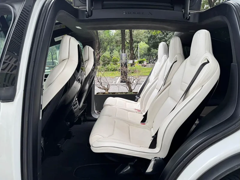 Tesla Model X — фото 8