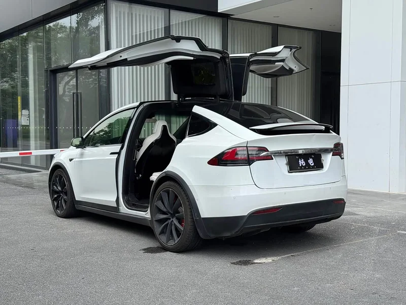 Tesla Model X — фото 10