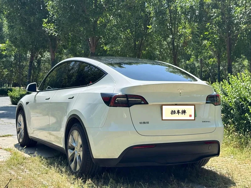 Tesla Model Y — фото 16