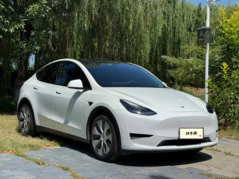 Tesla Model Y — фото 3