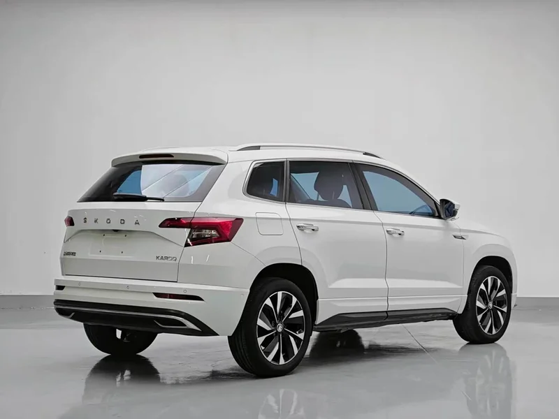 Skoda Karoq — фото 6