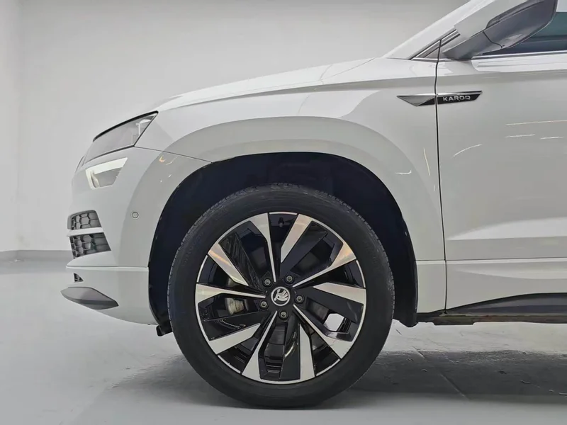 Skoda Karoq — фото 7