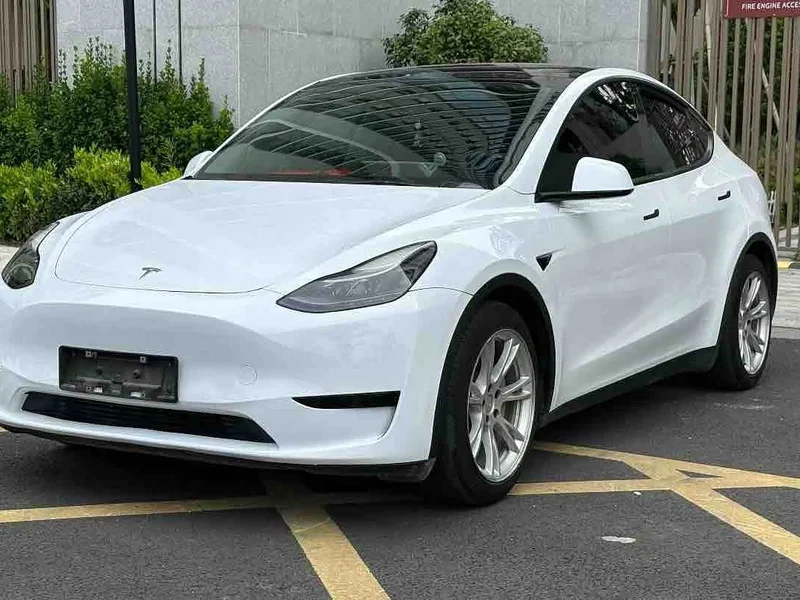 Tesla Model Y — фото 1