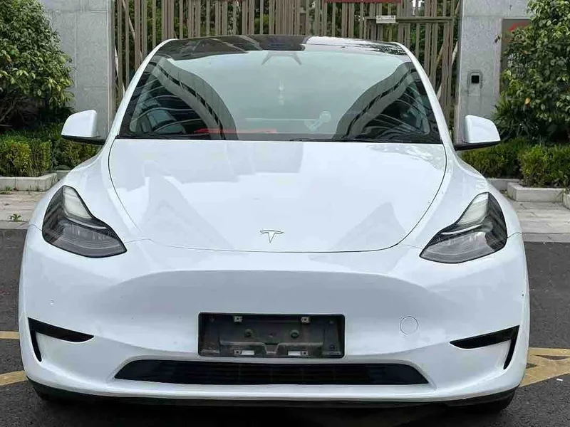 Tesla Model Y — фото 2