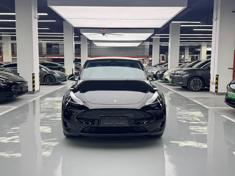 Tesla Model Y — фото 2