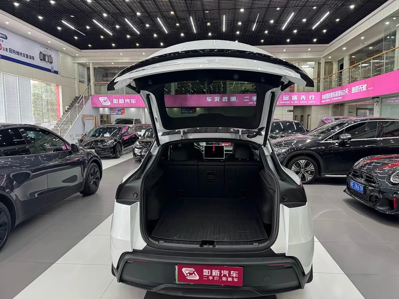 Tesla Model Y — фото 18