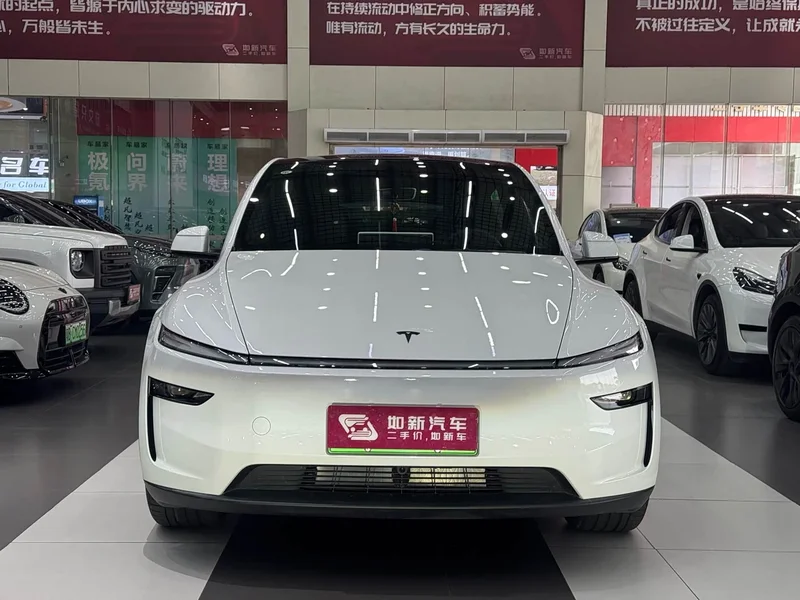 Tesla Model Y — фото 2