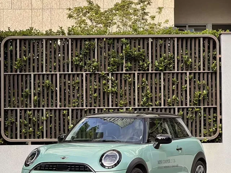 MINI MINI