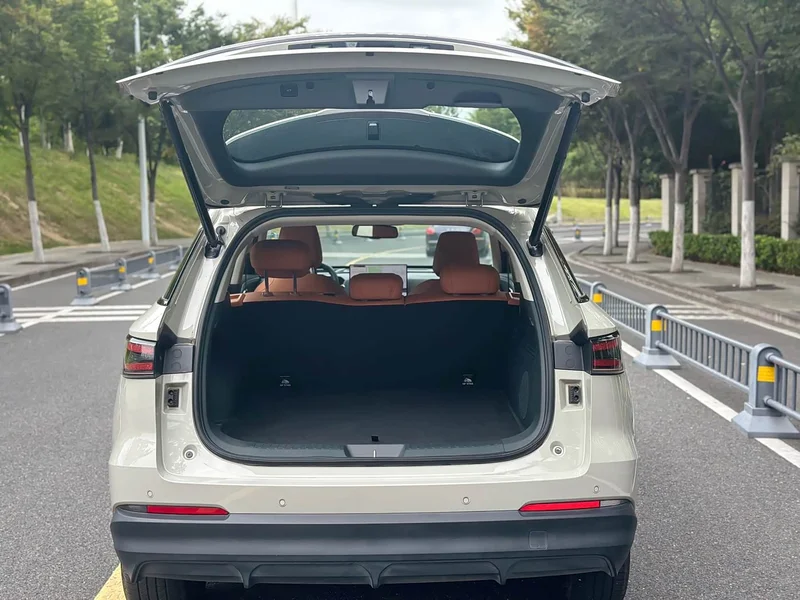 Haval Xiaolong MAX — фото 19