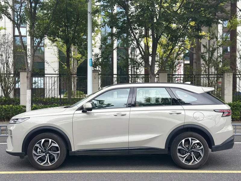 Haval Xiaolong MAX — фото 8