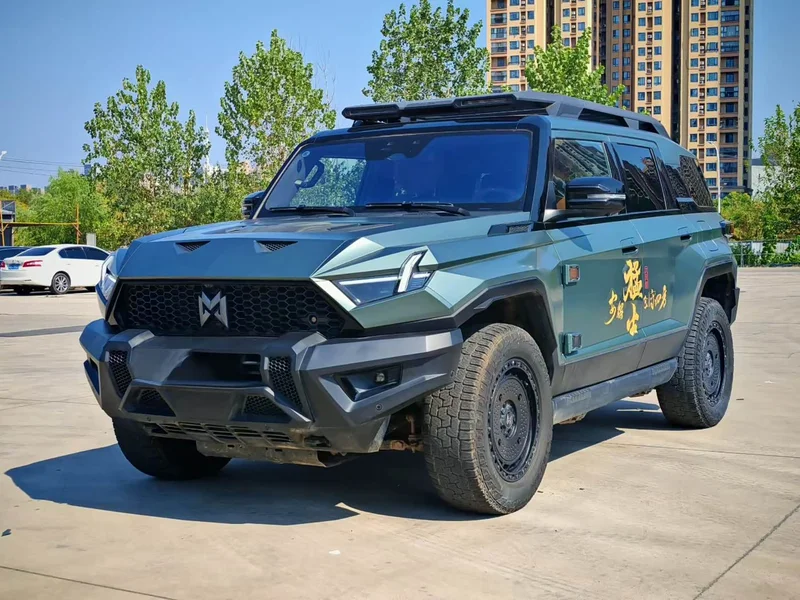 Mengshi 917