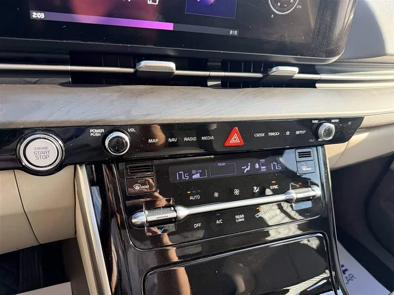 Kia Carnival — фото 13
