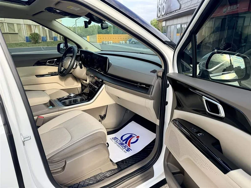 Kia Carnival — фото 10
