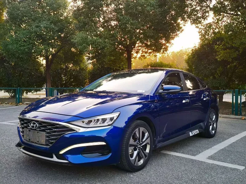 Hyundai Fista — фото 1