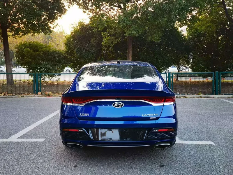 Hyundai Fista — фото 12