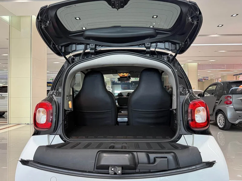 Smart Fortwo — фото 16