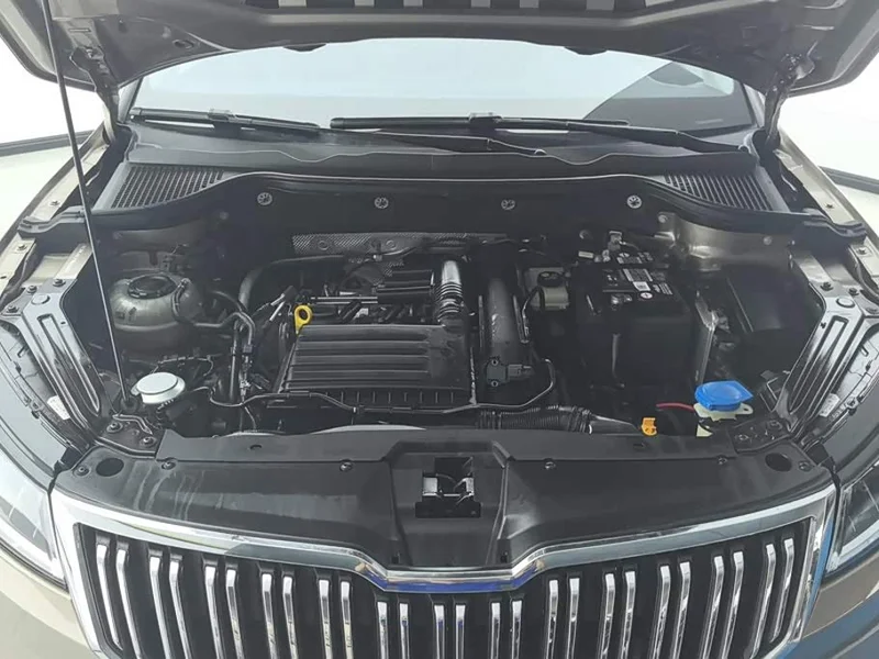 Skoda Karoq — фото 10