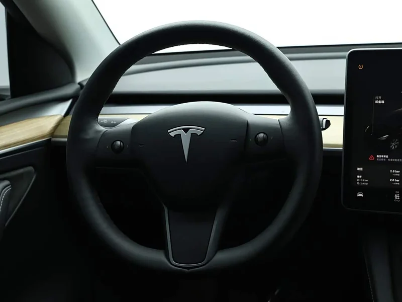 Tesla Model Y — фото 16