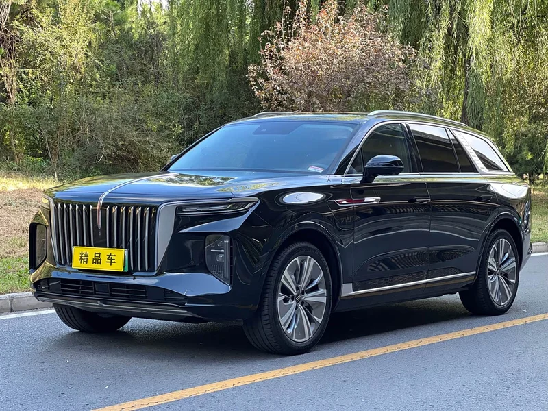 Hongqi E-HS9 — фото 1