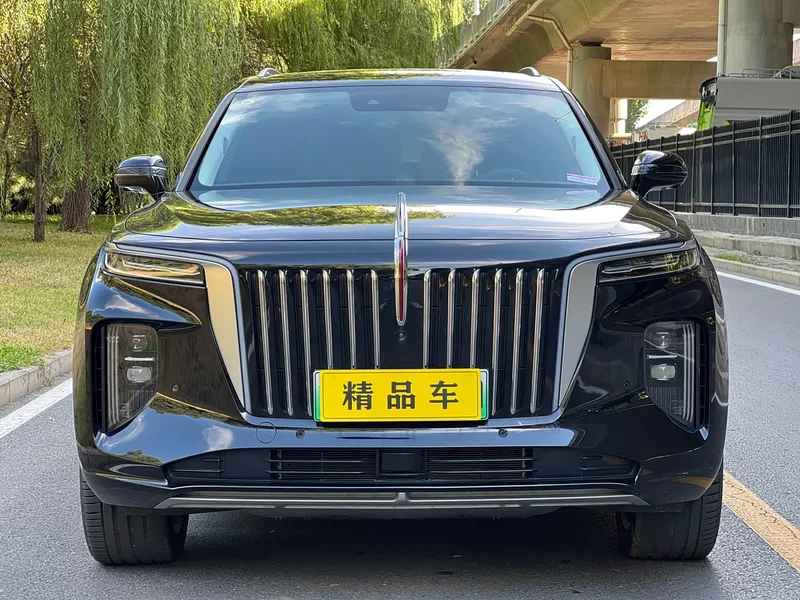 Hongqi E-HS9 — фото 2
