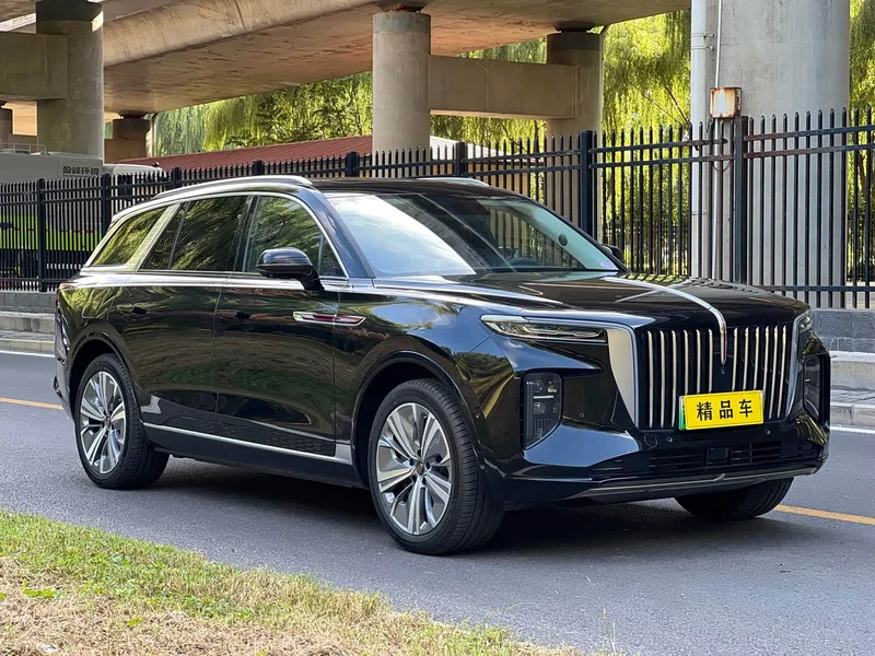 Hongqi E-HS9 — фото 3