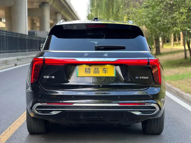 Hongqi E-HS9 — фото 6