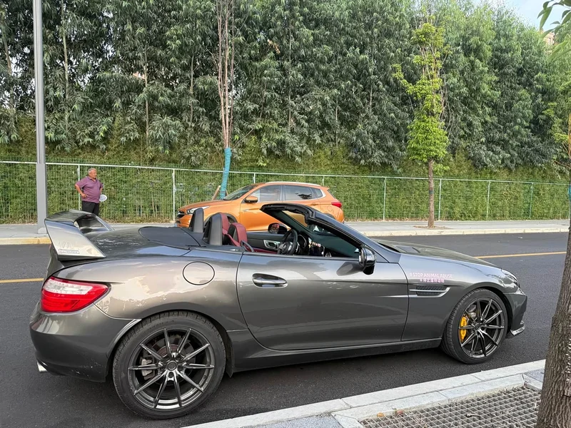 Mercedes-Benz SLK-Class — фото 11