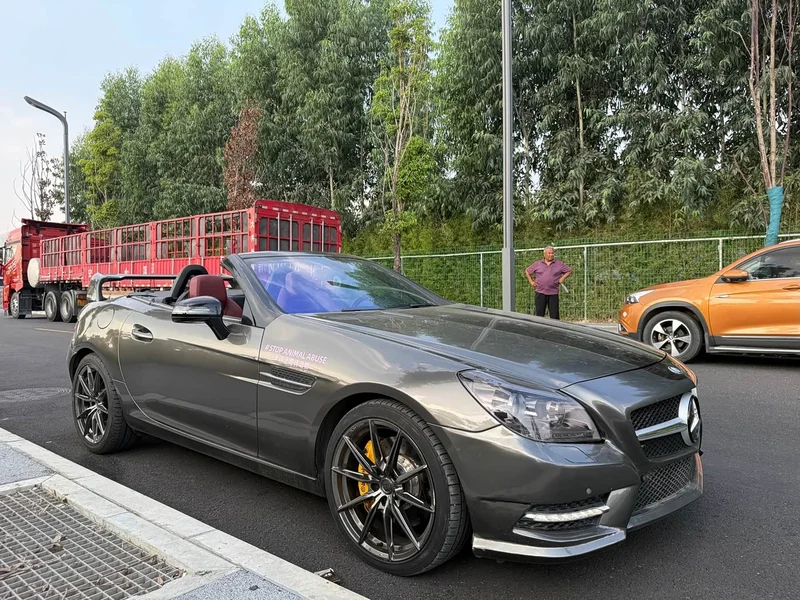 Mercedes-Benz SLK-Class — фото 16