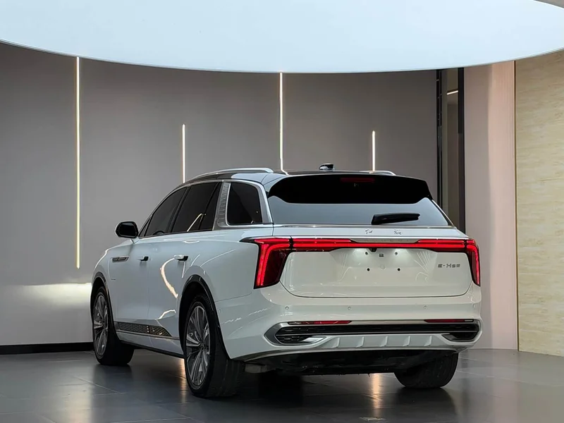 Hongqi E-HS9 — фото 10