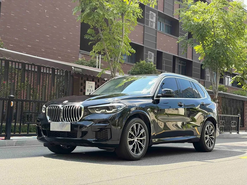 BMW X5 — фото 1