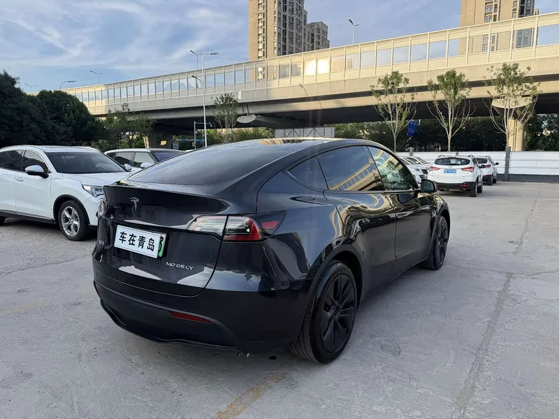 Tesla Model Y — фото 12