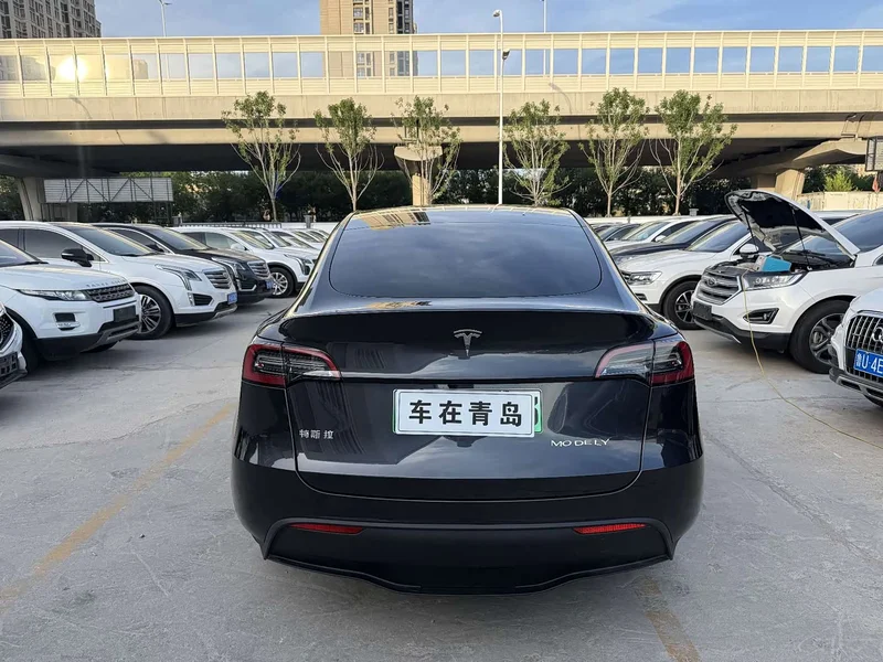 Tesla Model Y — фото 13